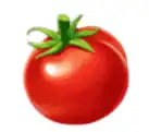 tomato